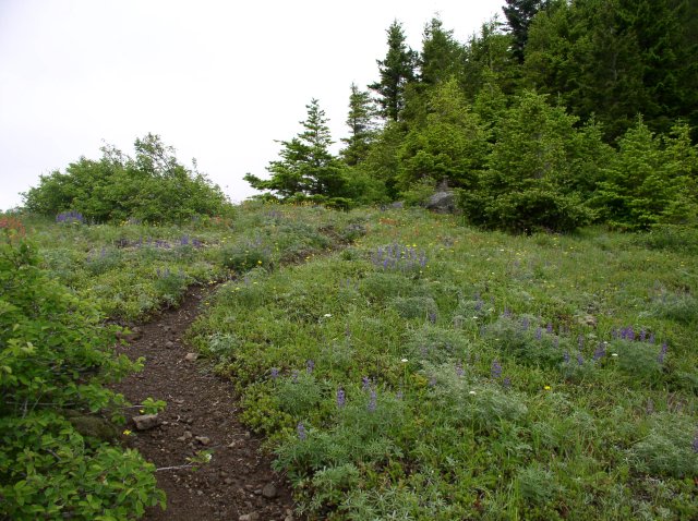 6.10.06 Table Mtn_3CR 053 